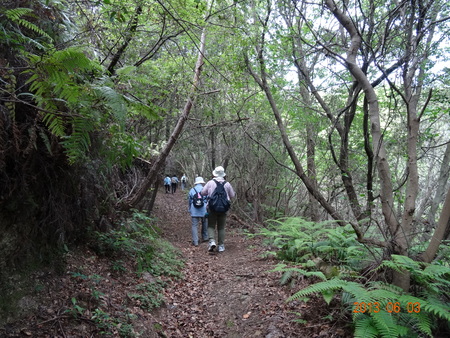 c0108460_23291081.jpg