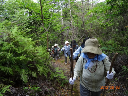 c0108460_23294356.jpg