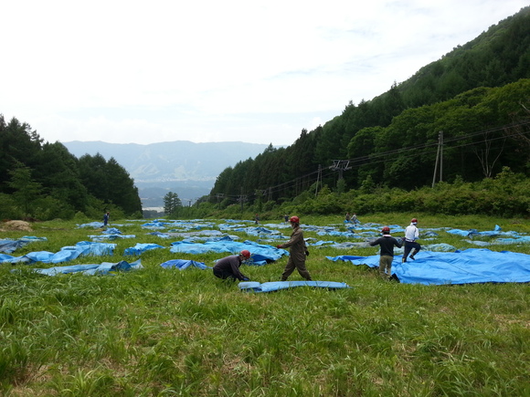 b0085469_22305280.jpg