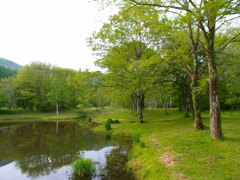 c0122670_23503546.jpg