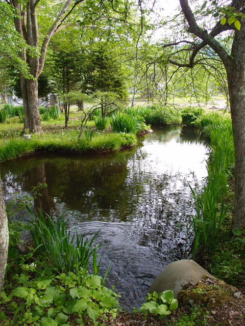 c0122670_23513948.jpg