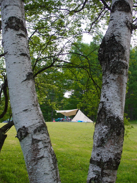 c0122670_23525542.jpg