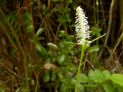 f0057070_21133690.jpg