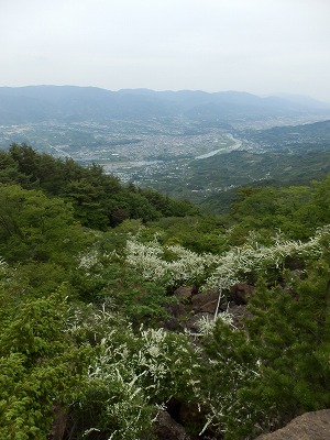 f0057070_21144360.jpg