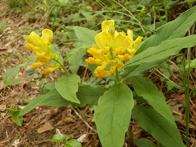 f0057070_2114813.jpg