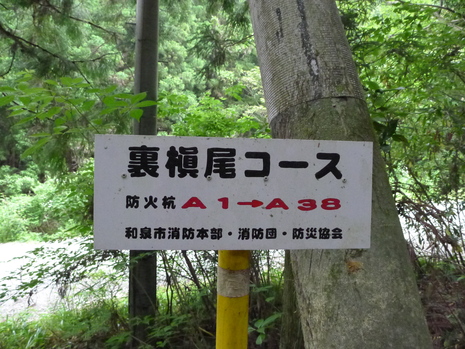 c0019376_10333529.jpg