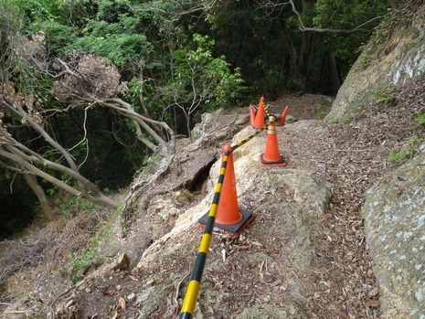 c0019376_10451220.jpg