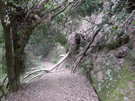c0019376_10463145.jpg