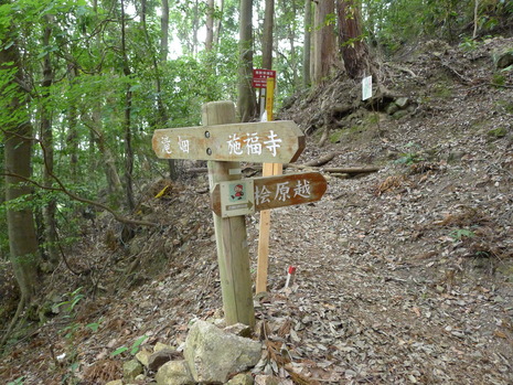 c0019376_1056191.jpg