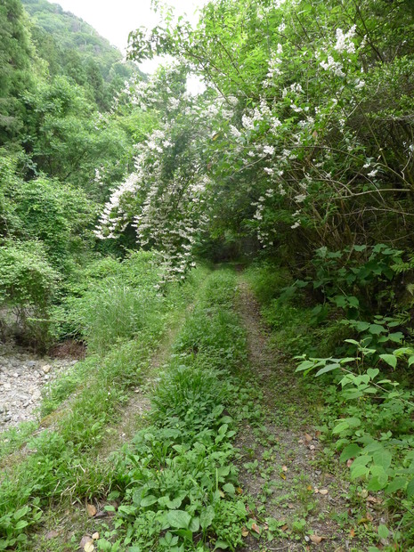 c0019376_11115240.jpg