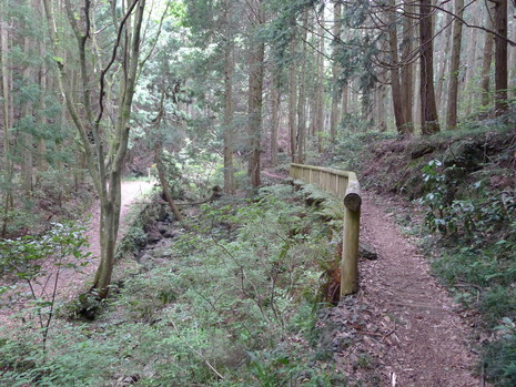 c0019376_1133874.jpg