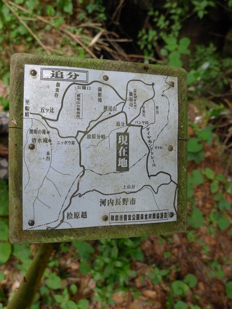 c0019376_1161523.jpg