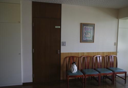 f0054677_8185461.jpg