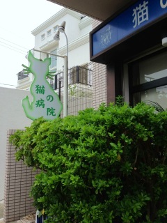 b0177078_15383560.jpg