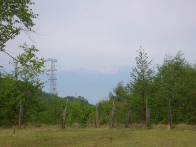 f0223480_619515.jpg