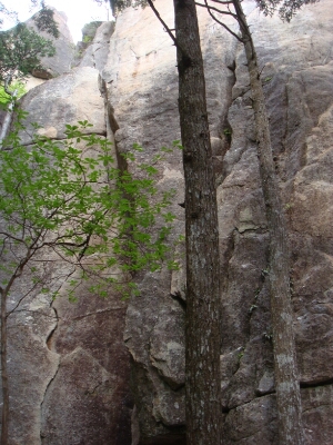 f0223480_619587.jpg