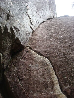 f0223480_727838.jpg