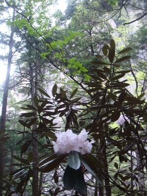 f0223480_728792.jpg
