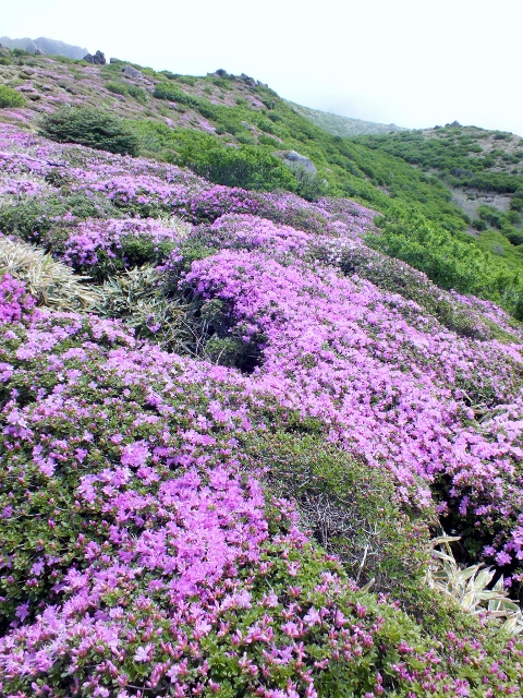 f0082181_22102347.jpg