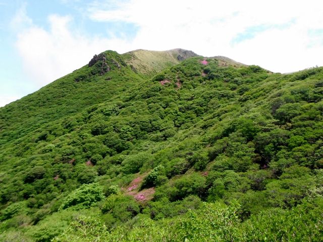 f0082181_22172423.jpg