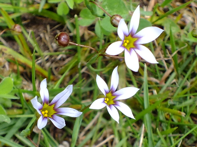 e0145782_2043543.jpg