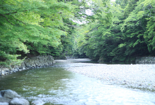 e0237283_230315.jpg