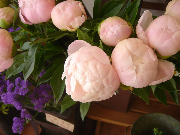 e0140986_1651519.jpg