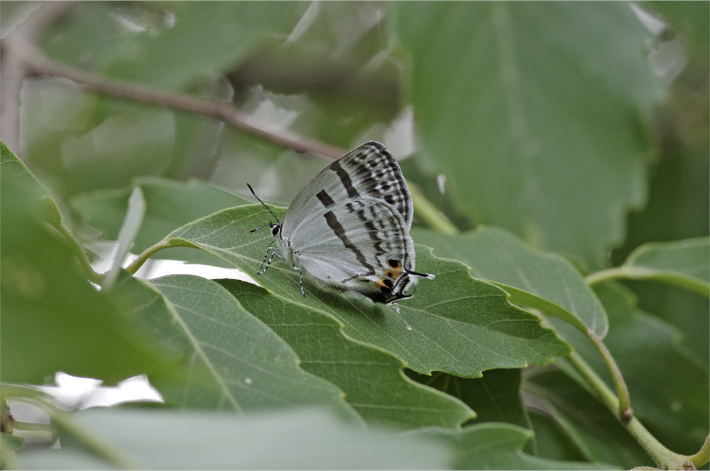 d0209988_206259.jpg
