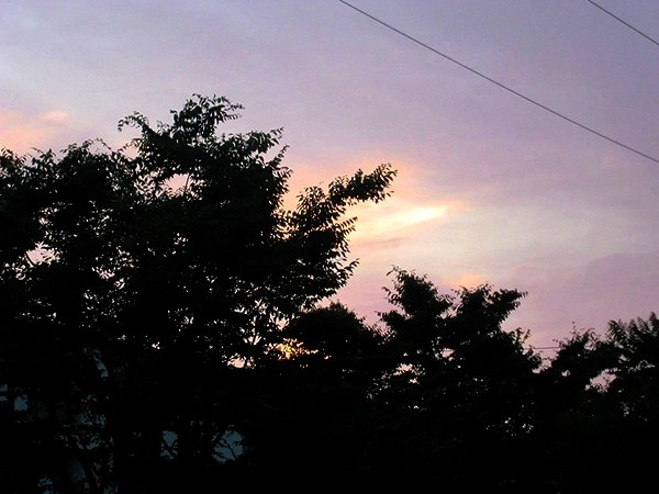 e0143690_1057367.png