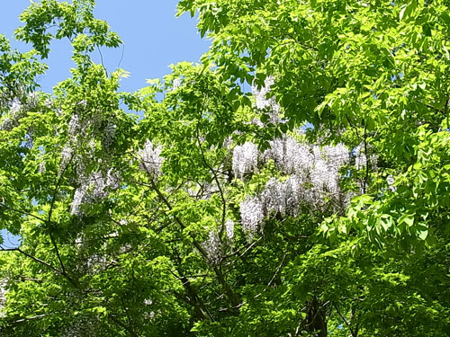 f0236291_8425552.jpg