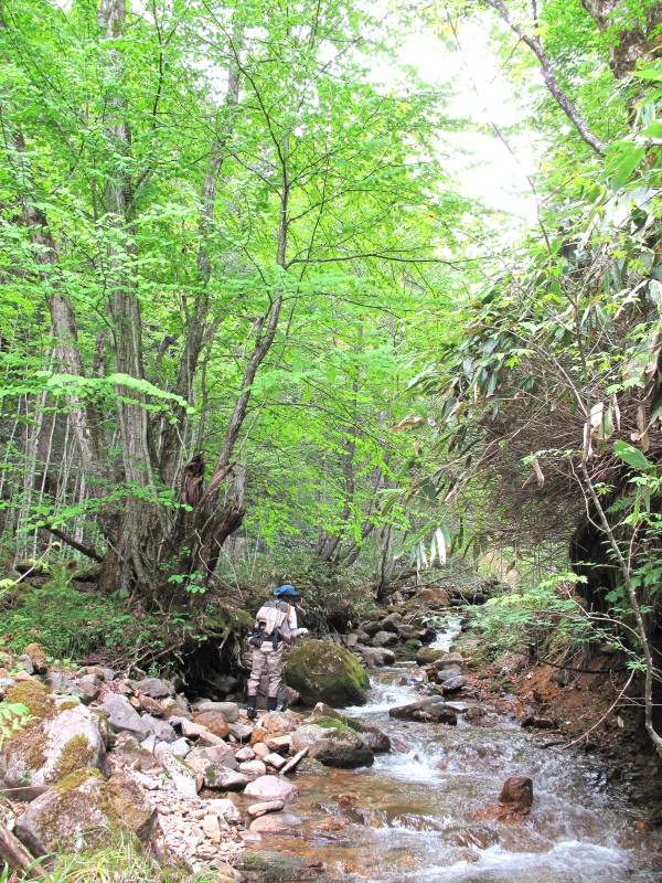 f0129994_823164.jpg