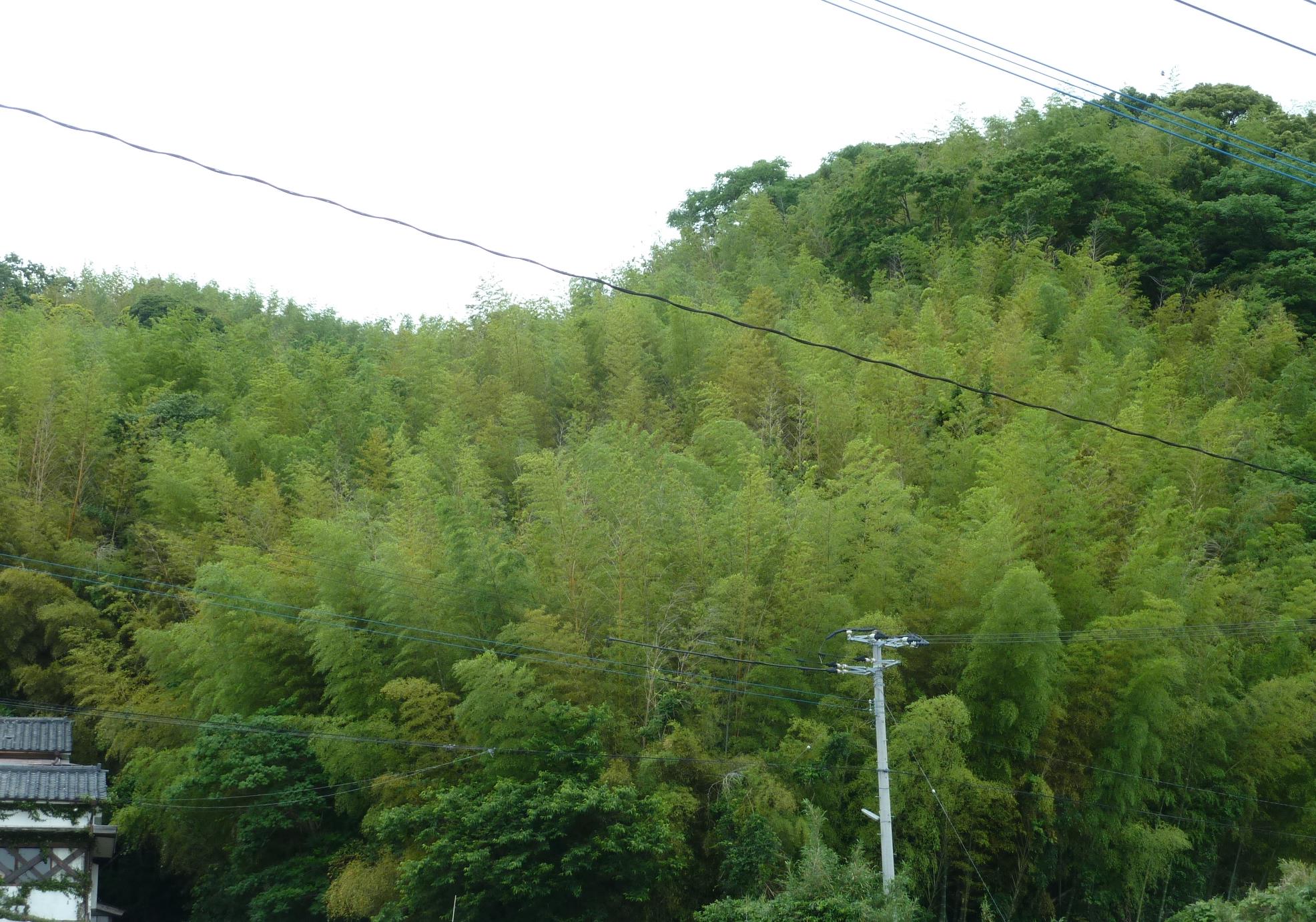 f0166694_1971983.jpg