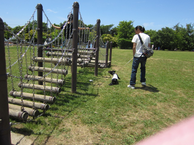 d0098295_22132077.jpg