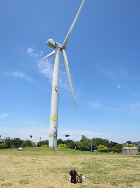 d0098295_2213494.jpg