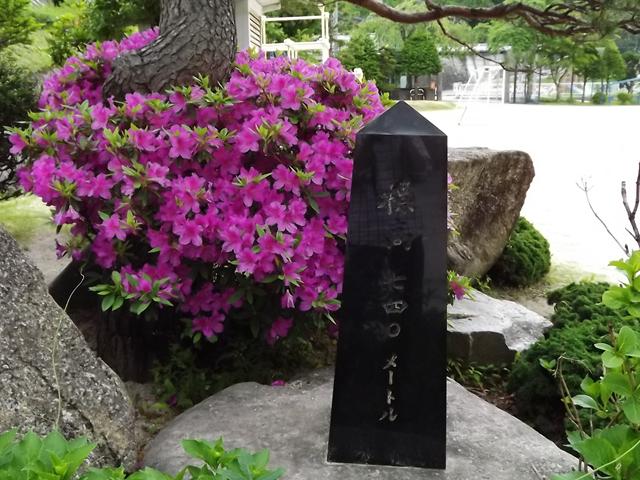c0108198_16591955.jpg