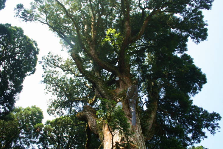 f0031304_75439100.jpg