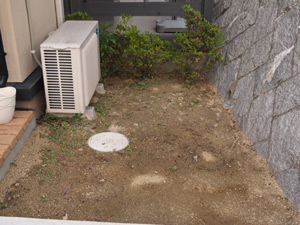 a0139105_228717.jpg