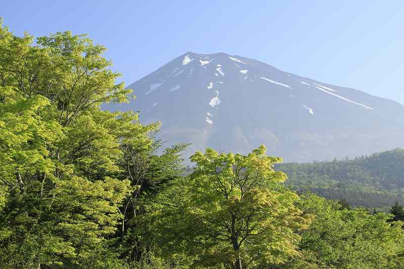 a0188405_942540.jpg