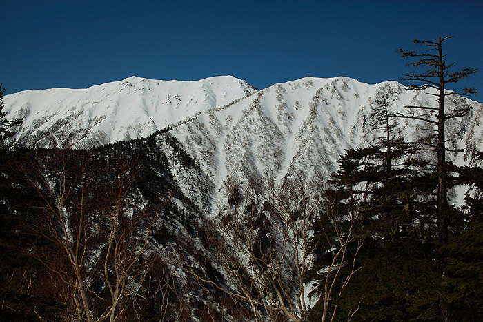 a0148606_111601.jpg