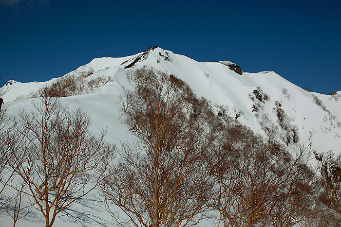 a0148606_11171247.jpg