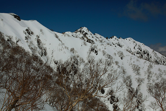a0148606_11172718.jpg