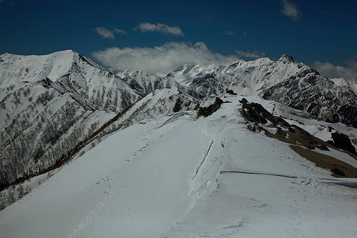 a0148606_11194678.jpg