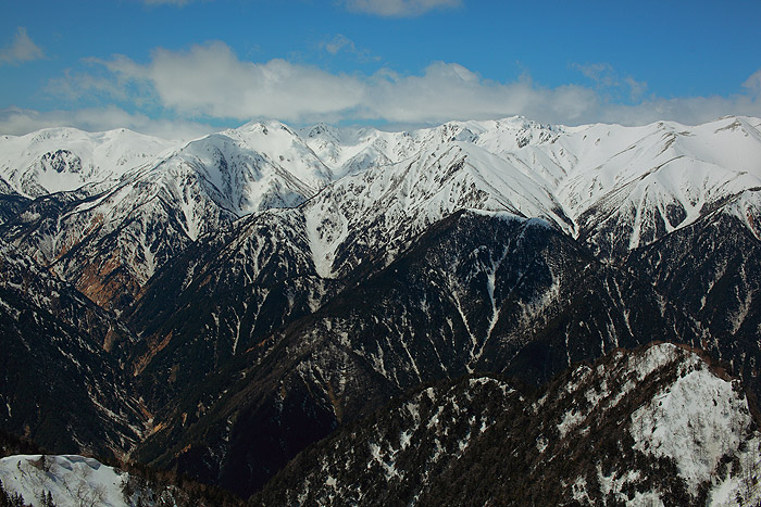 a0148606_1120676.jpg