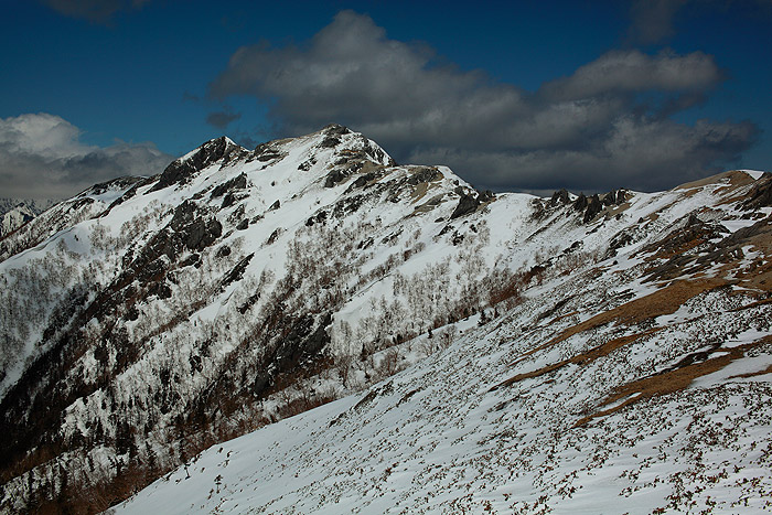a0148606_11234694.jpg