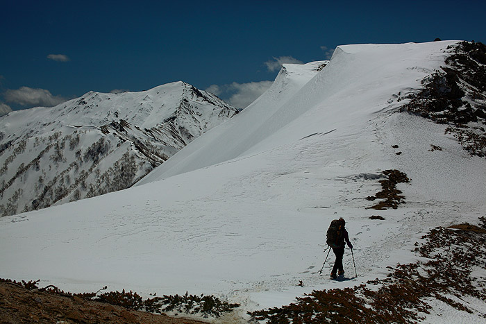 a0148606_112404.jpg
