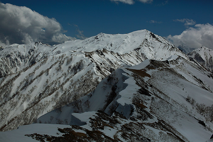 a0148606_1125141.jpg