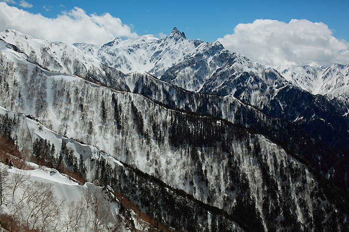 a0148606_11291167.jpg