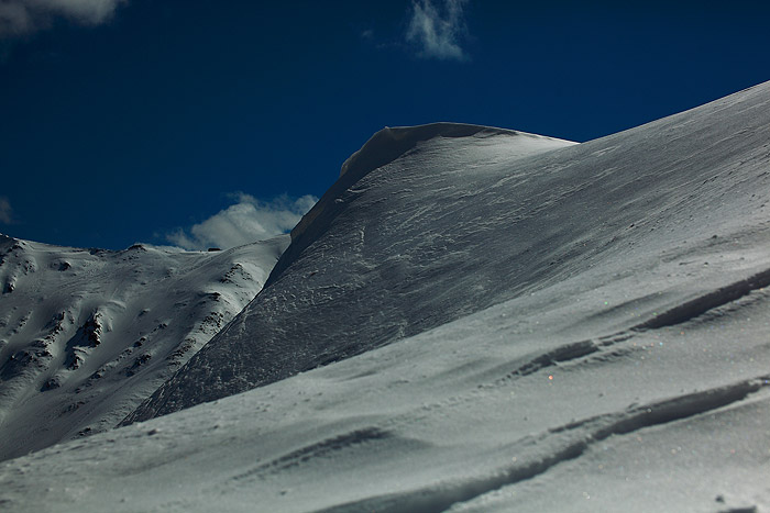 a0148606_1131834.jpg