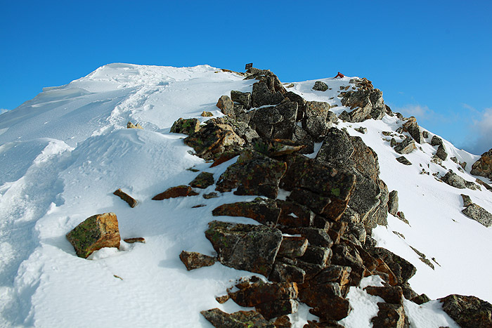 a0148606_11331867.jpg