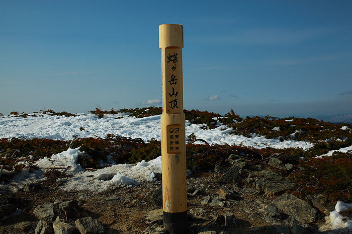 a0148606_132655.jpg